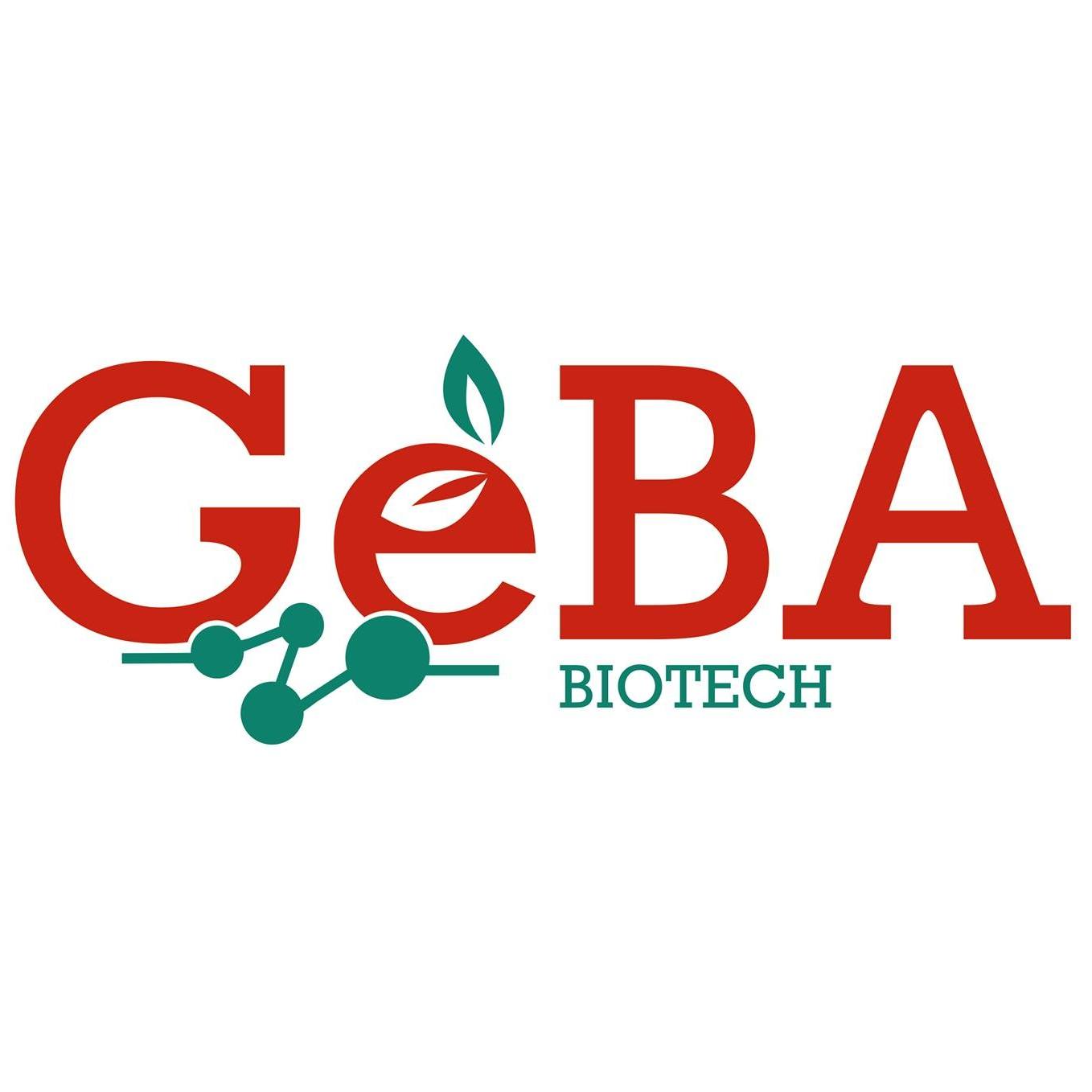 GEBA Logo